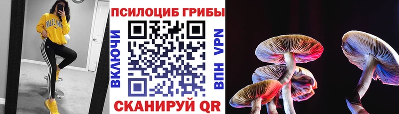 Галлюциногенные грибы прущие грибы  Холм 